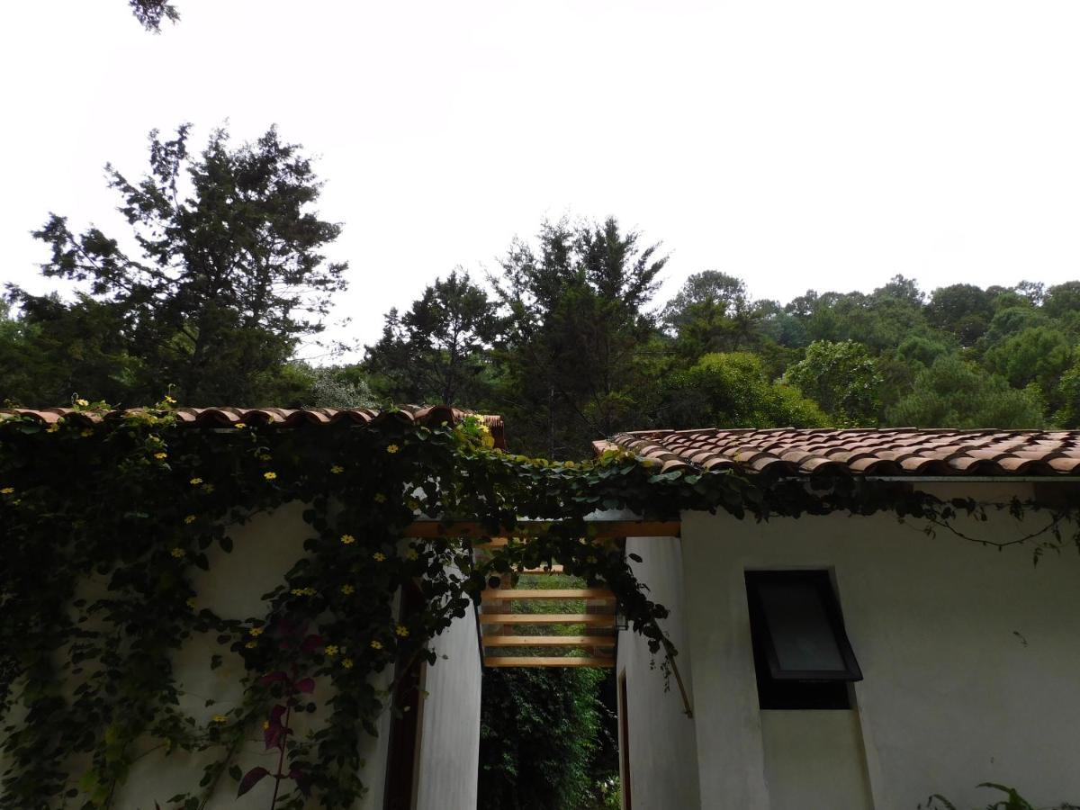 San Nicolas By Rotamundos San Cristóbal de Las Casas المظهر الخارجي الصورة